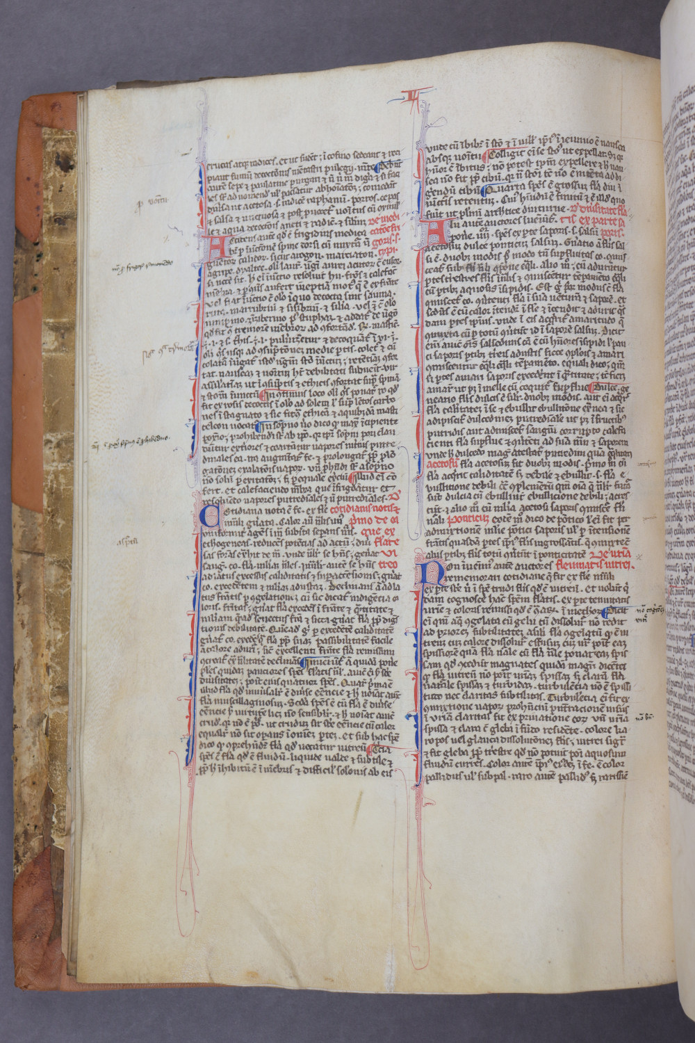 Folio 14 verso